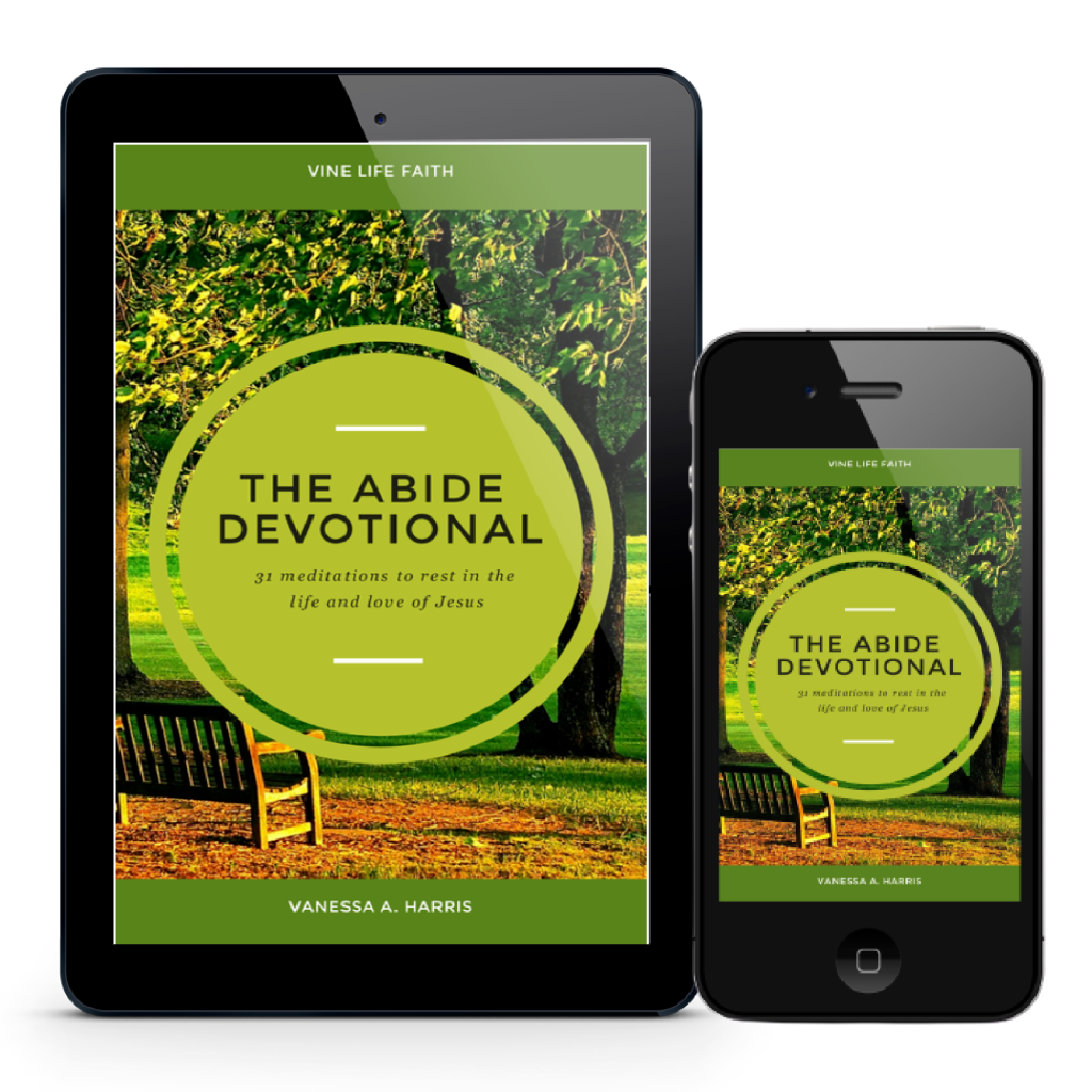 The Abide Devotional: 31 meditations to rest in the life and love of Jesus